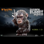 DF KOBA
